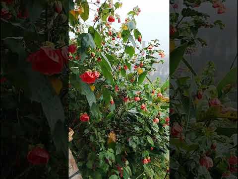 Esto es en el peñon santander lugares mágicos para conocer