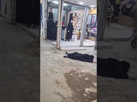 يحجي صدك #اكسبلور #المراه #المراه #ضحك #الجيلي #ترند #funny #تحشيش #ترند #تلاوة_خاشعة