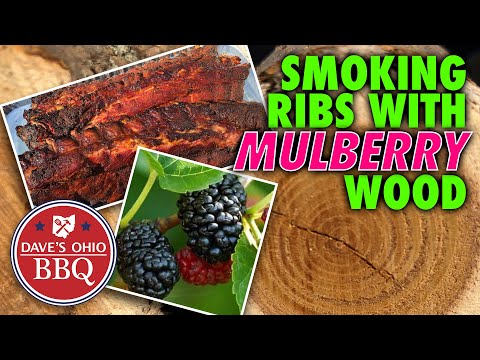 Can you smoke meat with mulberry wood? Yes, it