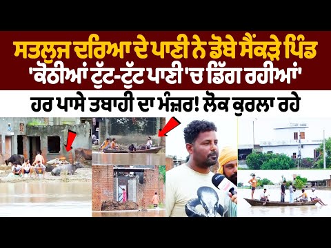 Punjab Flood News : Sutlej River ਦੇ ਪਾਣੀ ਨੇ ਡੋਬੇ ਸੈਂਕੜੇ ਪਿੰਡ, 'ਕੋਠੀਆਂ ਟੁੱਟ-ਟੁੱਟ ਪਾਣੀ 'ਚ ਡਿੱਗ ਰਹੀਆਂ'