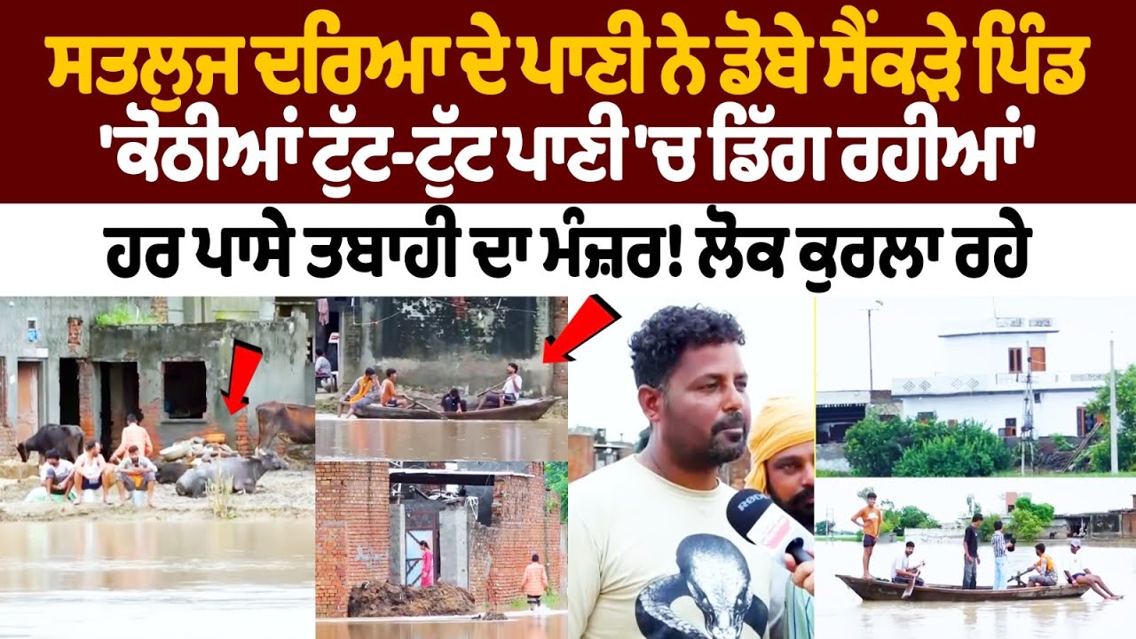 Punjab Flood News : Sutlej River ਦੇ ਪਾਣੀ ਨੇ ਡੋਬੇ ਸੈਂਕੜੇ ਪਿੰਡ, 'ਕੋਠੀਆਂ ਟੁੱਟ-ਟੁੱਟ ਪਾਣੀ 'ਚ ਡਿੱਗ ਰਹੀਆਂ' Punjab Flood News : Sutlej River ਦੇ ਪਾਣੀ ਨੇ ਡੋਬੇ ਸੈਂਕੜੇ ਪਿੰਡ, 'ਕੋਠੀਆਂ ਟੁੱਟ-ਟੁੱਟ ਪਾਣੀ 'ਚ ਡਿੱਗ ਰਹੀਆਂ'