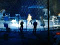 11 24 2009 Trained TIGERS Ringling Brothers Barnum Circus