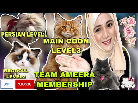 MEMBERSHIP INTRO||TEAM AMEERA
