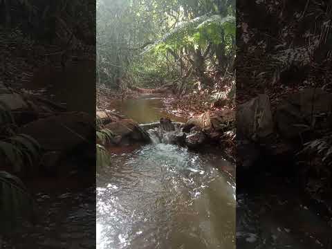 meio ambiente, cachoeira, Orizona Goiás #paisagemnatural #nature #naturezasurpreendente