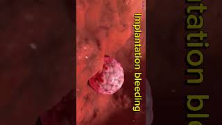 Download lagu Implantation Bleeding || Pregnancy Loss #shorts #pregnancy mp3