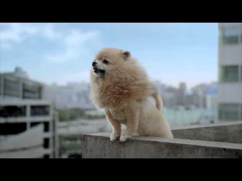 Tokyo Jungle - Commerical (Web Ver.)