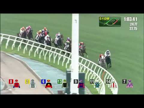 2022 03 20 沙田 第六場 健康快駒 莫雷拉