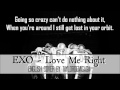 [English Cover] EXO (엑소) - Love Me Right by JANNY ...