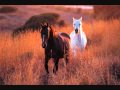 John Doan - Where Horses Of Faery Hide