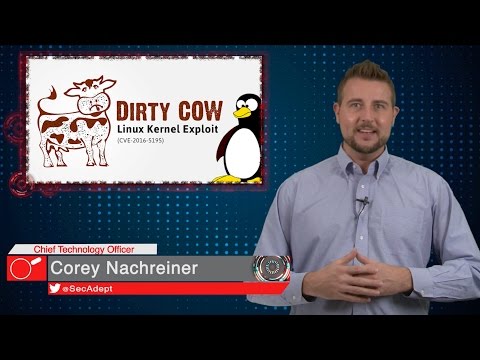 Dirty COW in the Wild - Daily Security Byte