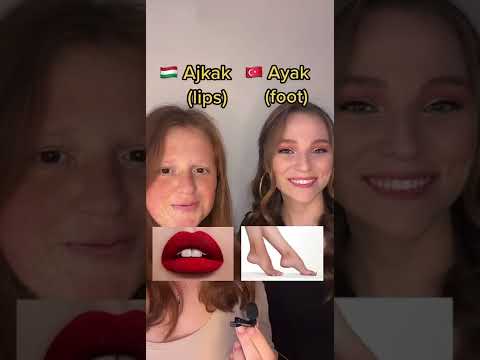 Turkish vs Hungarian 🇹🇷🇭🇺 #shorts #turkish #learnturkish #hungarian #hungary