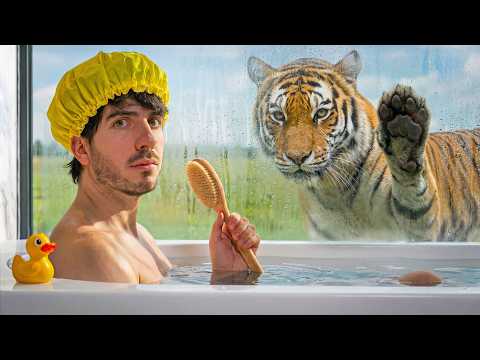 Fui a todos los hoteles de animales.