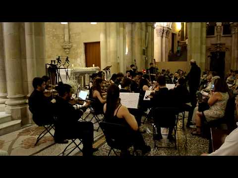 Serenata para Cuerdas en Do mayor Op.48. Peter Ilyich Tchaikovsky