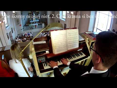 JKS 332 - Celá krásna (Maria, dich lieben, ist allzeit mein Sinn)