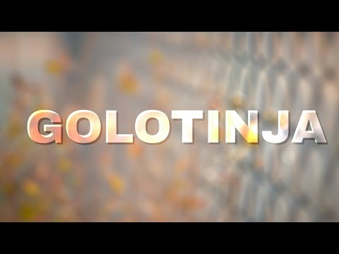 RAZGOLIČENOS ŽENA U BOSNI / Dr. Šefik Kurdić /