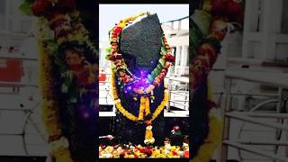 Download lagu mahima shani dev ki, teri mahima koi na jaane he shani dev, teri mahima koi na jaane hai shani dev mp3