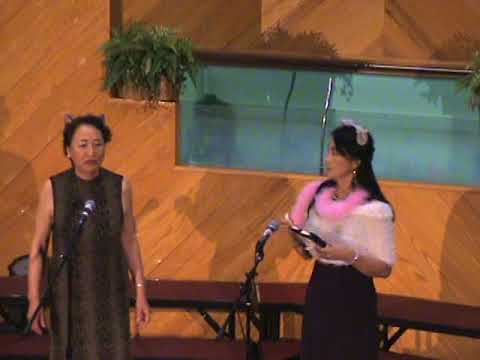 Duetto buffo di due gatti (Funny duet for two cats)