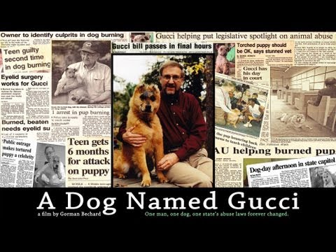 A Dog Named Gucci