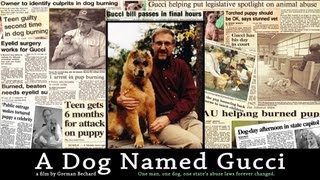 A Dog Named Gucci (2015) Video