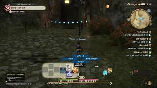 FF14　 光りのぶーさん　初心者ヒーラー頑張る　(800日もずっと月額払い続けてた何て言えない)