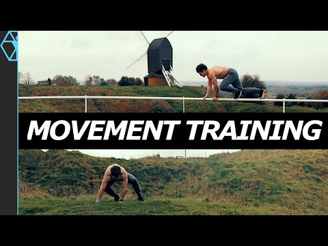 Movement Training Explained: Ido Portal, Animal Flow, and Primal Workouts