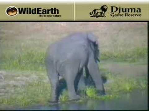 Sunset drive 012808-3