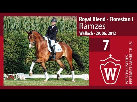 07 Ramzes Wallach v. Royal Blend - Florestan I