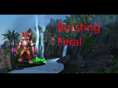 Bursting feral - Assassin rogue pvp 8.3