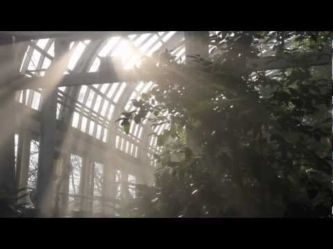 Discovering the Palm House