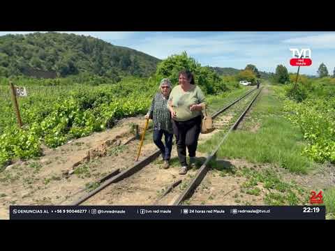 EFE ordenó no detenerse en paradas intermedias del ramal Talca Constitución | 24 Horas TVN -RedMaule
