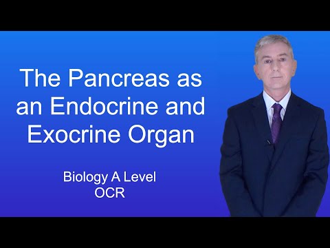 A Level Biology Revision (Year 13) "The Pancreas as an Endocrine and Exocrine Organ"