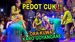 CAK PERCIL CS & MAYA PRAGA - GUYON MATON | 14 MARET 2019 DI DONOMULYO MALANG