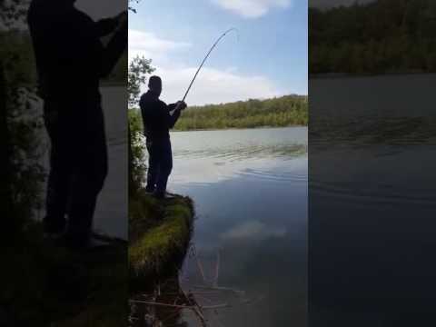 Cygany na rybah z berlina(5)