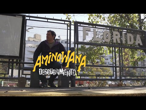 Aminowana :: La Realidad