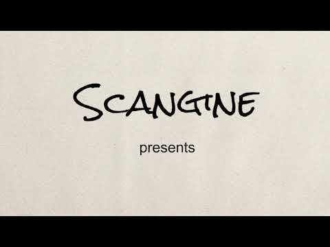 Ferret Night Vision Camera Video