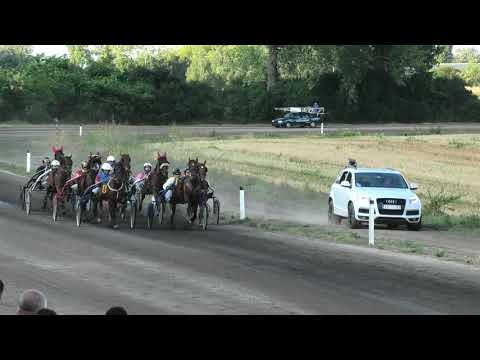 Trka "Pehar Somborskih novina" 04.08.2019 San Siro - Branislav Mukić