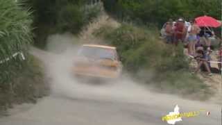 preview picture of video 'Moscato Rally 2012 - PiemontRally.it'