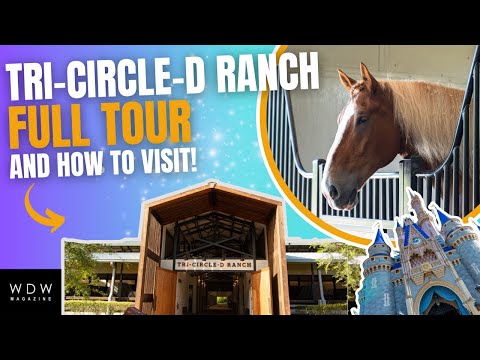Tri Circle D Ranch Jobs