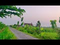 Thomas Arya Full Album Terbaru Ipank Full Album Thomas Arya Feat Elsa Pitaloka TANPA IKLAN