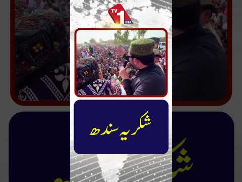 شکریہ سندھ — سہیل آفریدی