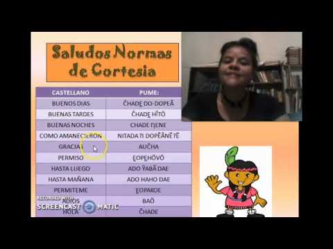 Taller: Aprendamos el Idioma Pumé. Francy Suarez