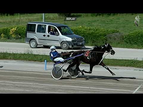 Aversa trotto 19 Maggio 2021 - 7° Corsa