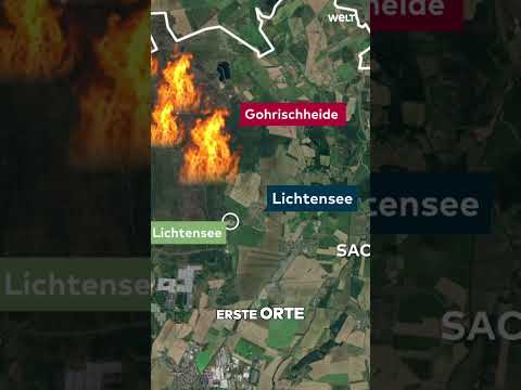 WALDBRAND IN SACHSEN: 600 Hektar Gohrischheide brennen – Flammen erreichen Brandenburg! #shorts