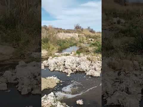 La olla del Arroyo Pelado 1 #naturaleza #naturalezaargentina #naturalezayvida