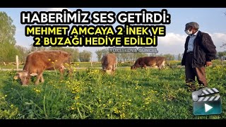 Haberimiz Ses Getirdi: Mehmet Amcaya 2 İnek Ve 2 Buzağı Hediye Edildi