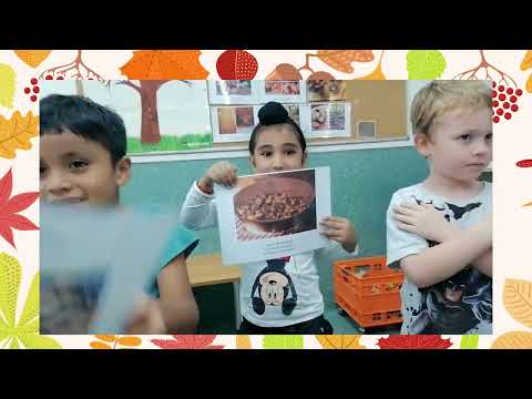 preview video