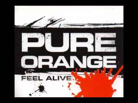 Pure Orange featuring Shane Nolan - Feel Alive (Original Mix)