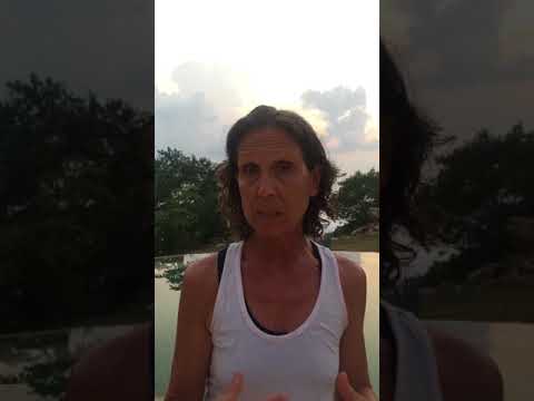 Magnificence Mastermind in Mexico