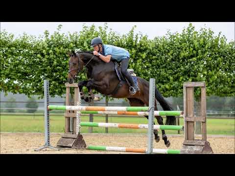 Casasetta:CASALTINO x CONSENS