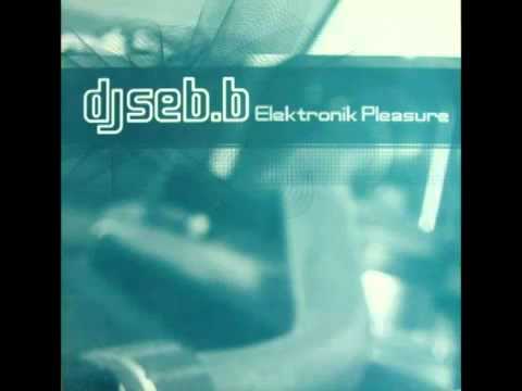 DJ Seb B - Elektronik Pleasure OFFICIAL CONTENT